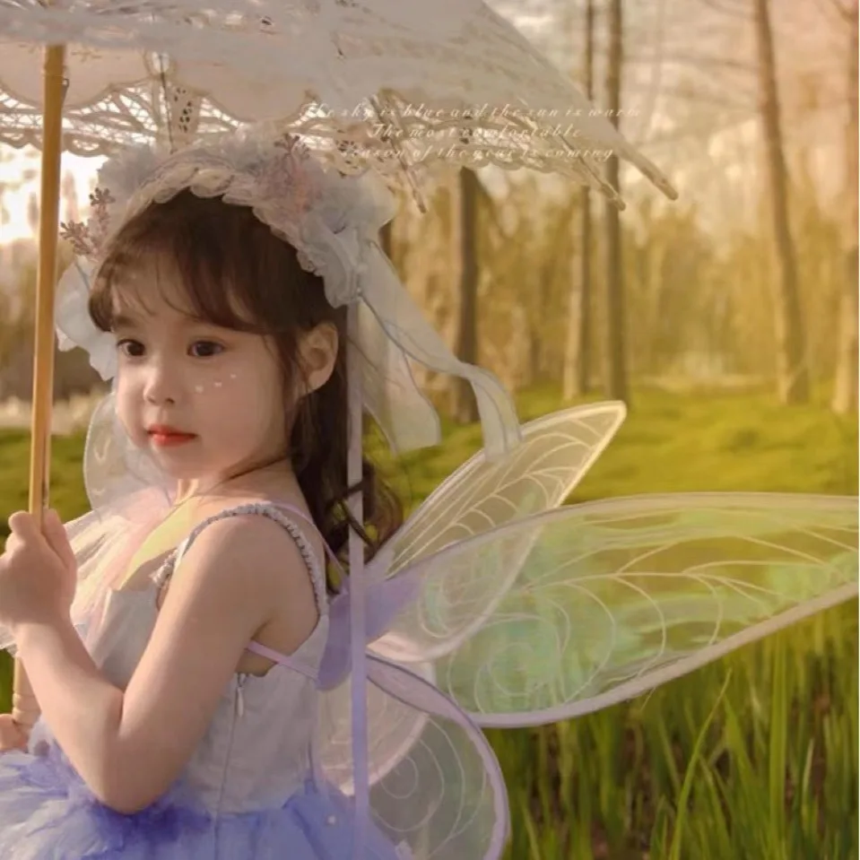 Princess Butterfly Fairy Wing  - đánh giá và giá Elf Costume Christmas