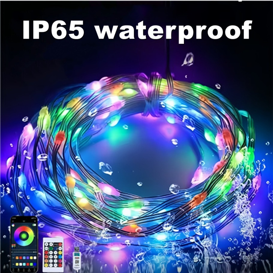 WS2812B LED Light String Smart - đánh giá và giá Led Fairy String Lights