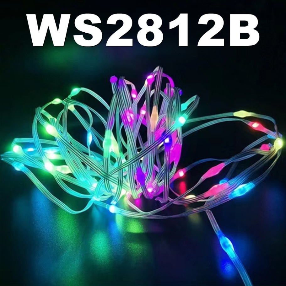 WS2812B LED Light String Smart - đánh giá và giá Led Fairy String Lights